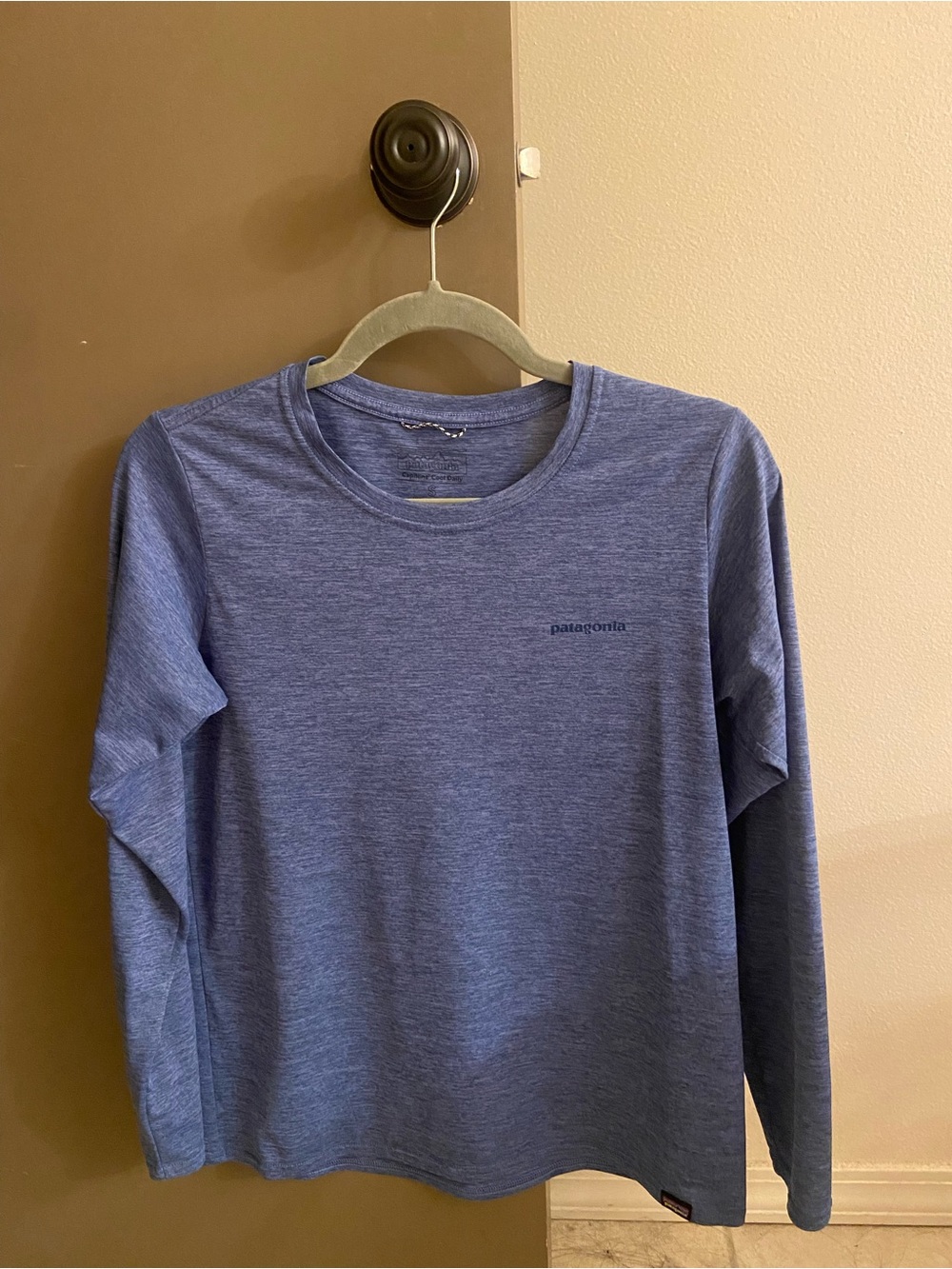 Patagonia Long-Sleeve Tee in Heather Blue